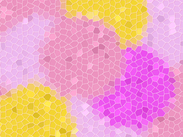 コロンビア エルミラドール インフューズド ピンクシャンパン